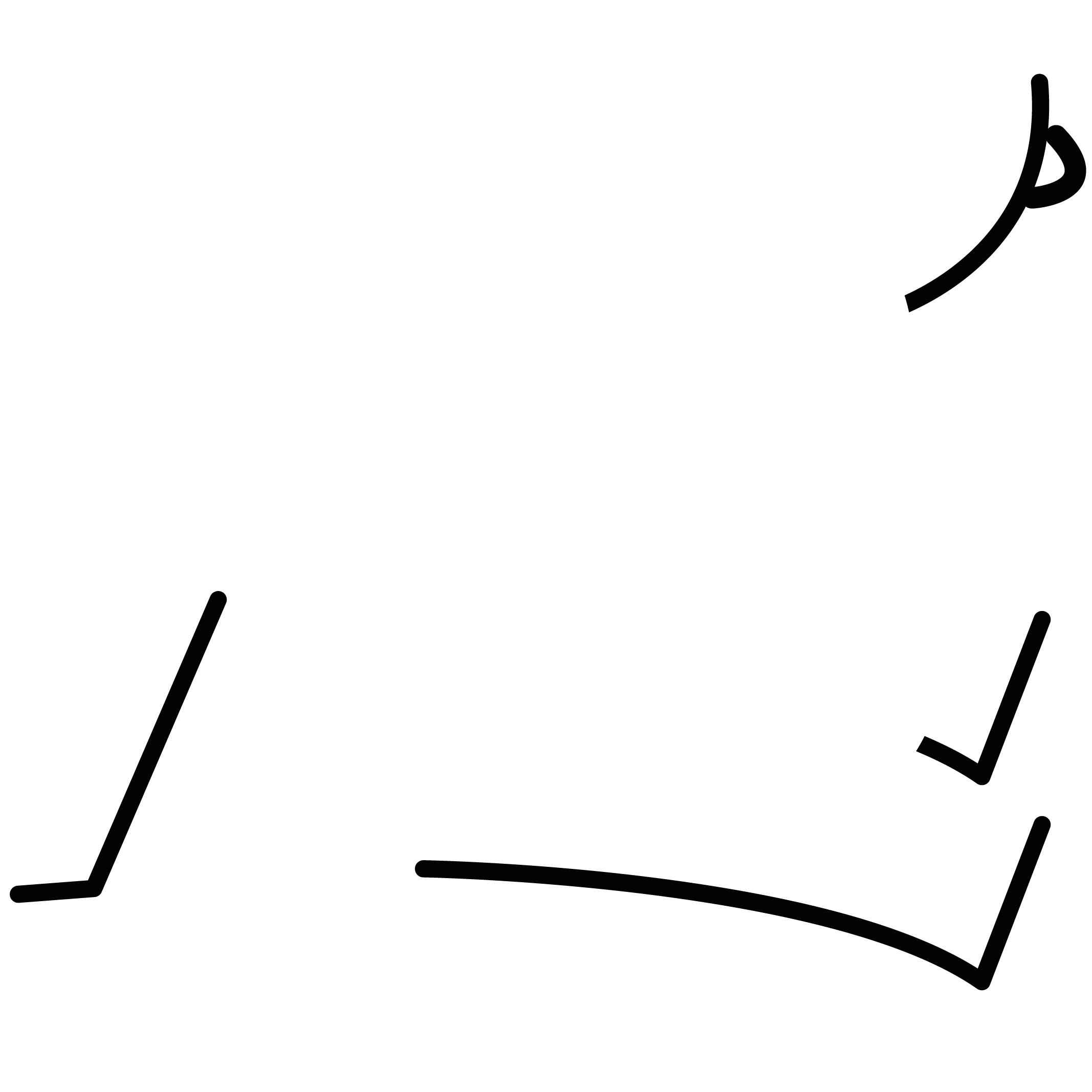 Mascotte